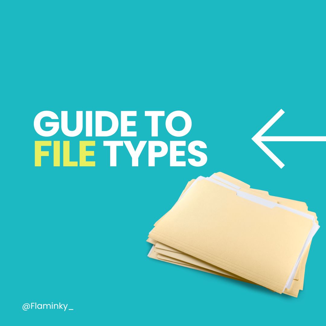 guide-to-file-types-flaminky