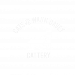 Cats ay Waun Davey Logo