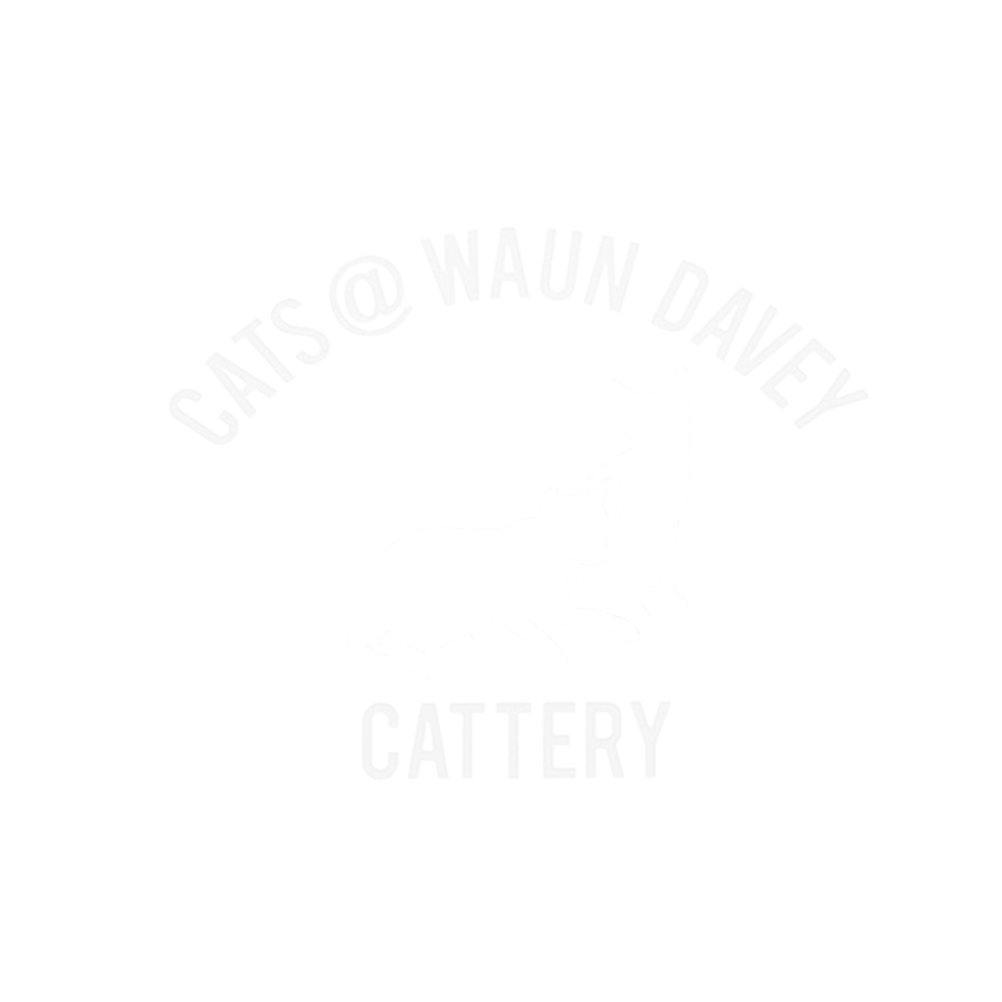 Cats ay Waun Davey Logo